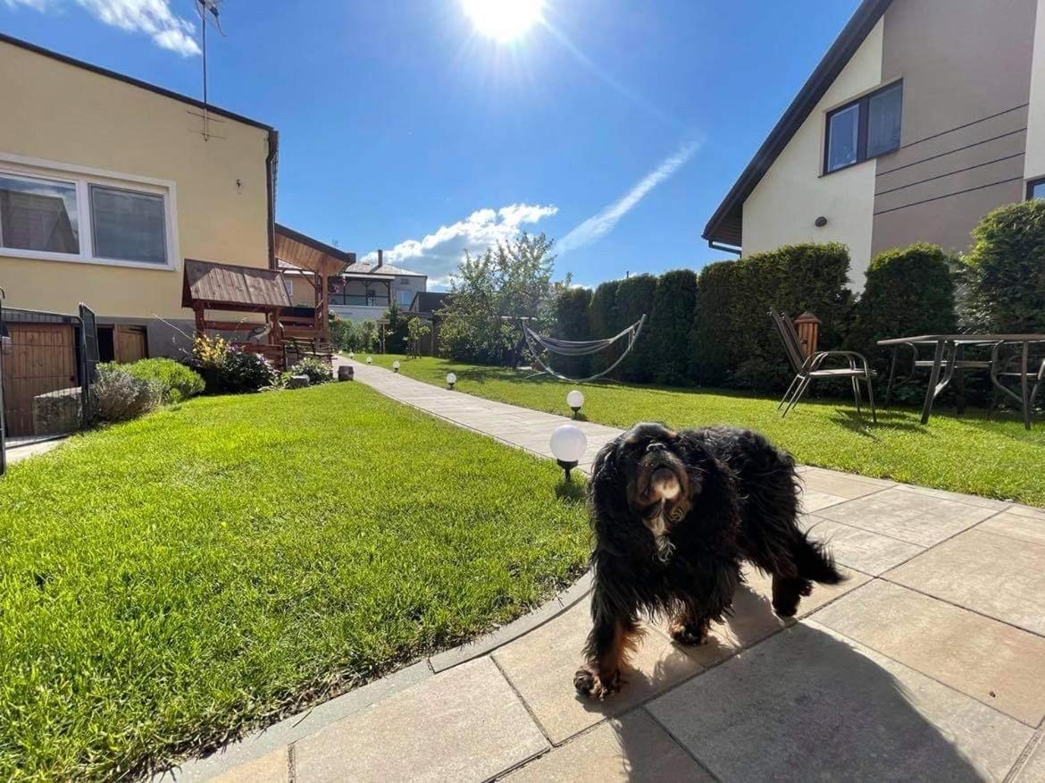 Apartament Cicho Sza アウグストゥフ エクステリア 写真