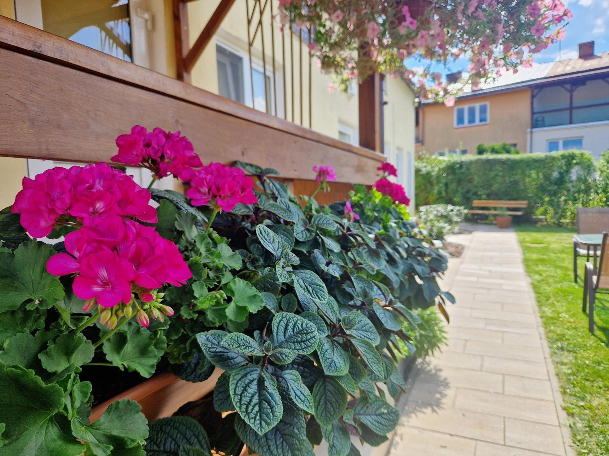 Apartament Cicho Sza アウグストゥフ エクステリア 写真
